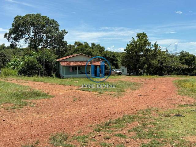  para  em  - 3