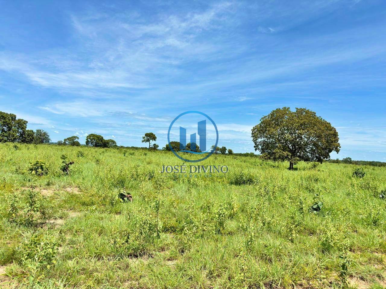 Terreno, 2783 m² - Foto 6